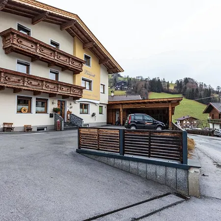 Bergwelt A1 Appartamento Niederau